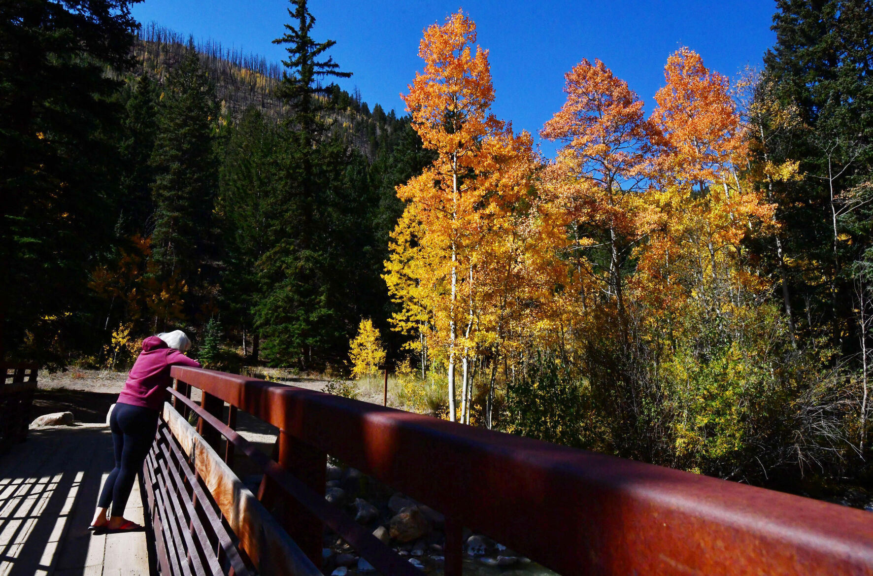 100420-news-aspens 03.JPG